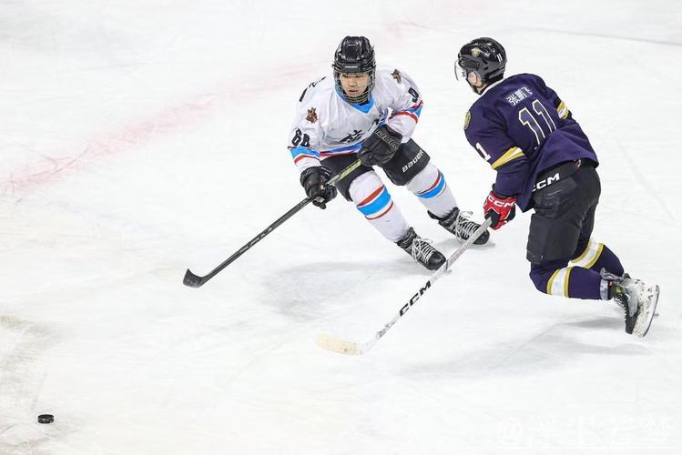 中国男子冰球职业联赛踏冰前行 中国男子冰球职业联赛踏冰前行