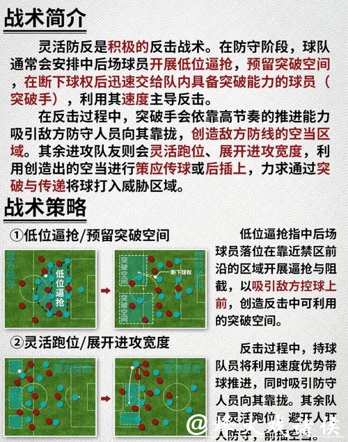 深入解析世界杯球队战术与战略调整 深入解析世界杯球队战术与战略调整
